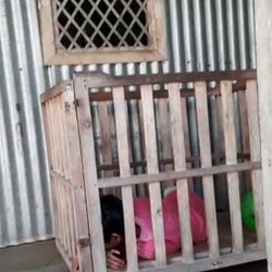 মানসিক ভারসাম্যহীন কিশোরী, বন্দি কাঠের ঘেরাটোপে। (ছবি সৌজন্য হিন্দুস্তান টাইমস)