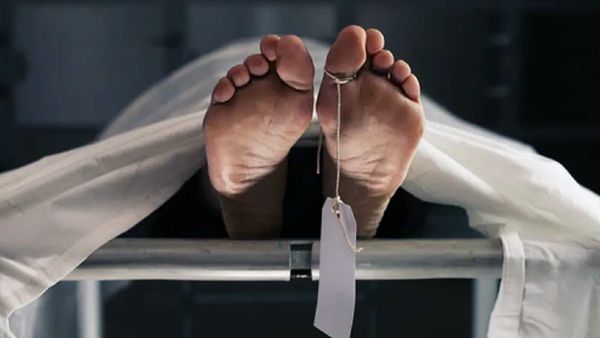 গাছের আড়ালে ঘনিষ্ঠ হওয়ার শাস্তি, যুগলকে জোর করে বিয়ে, আত্মঘাতী যুবক। (প্রতীকী ছবি) গাছের আড়ালে ঘনিষ্ঠ হওয়ার শাস্তি, যুগলকে জোর করে বিয়ে, আত্মঘাতী যুবক। (প্রতীকী ছবি)