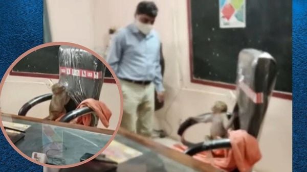 ছবি : এএনআই (ANI) ছবি : এএনআই (ANI)