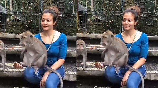 কোয়েল মল্লিক কোয়েল মল্লিক
