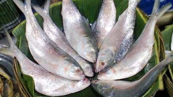 আমদানি বন্ধে রুপালি শস্যের যোগানে ভাটা, মন ভার মৎস্য রসিক বাঙালির (ছবিটি প্রতীকী, সৌজন্য ফেসবুক) আমদানি বন্ধে রুপালি শস্যের যোগানে ভাটা, মন ভার মৎস্য রসিক বাঙালির (ছবিটি প্রতীকী, সৌজন্য ফেসবুক)