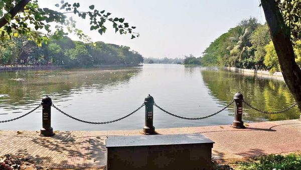 রবীন্দ্র সরোবর। ফাইল ছবি রবীন্দ্র সরোবর। ফাইল ছবি