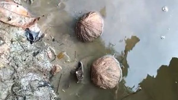 বোমা উদ্ধার কালিায়চকে( প্রতীকী ছবি) (নিজস্ব চিত্র ) বোমা উদ্ধার কালিায়চকে( প্রতীকী ছবি) (নিজস্ব চিত্র )