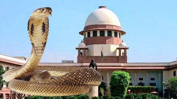 প্রতীকী ছবি (এডিটেড): পিটিআই (PTI) প্রতীকী ছবি (এডিটেড): পিটিআই (PTI)