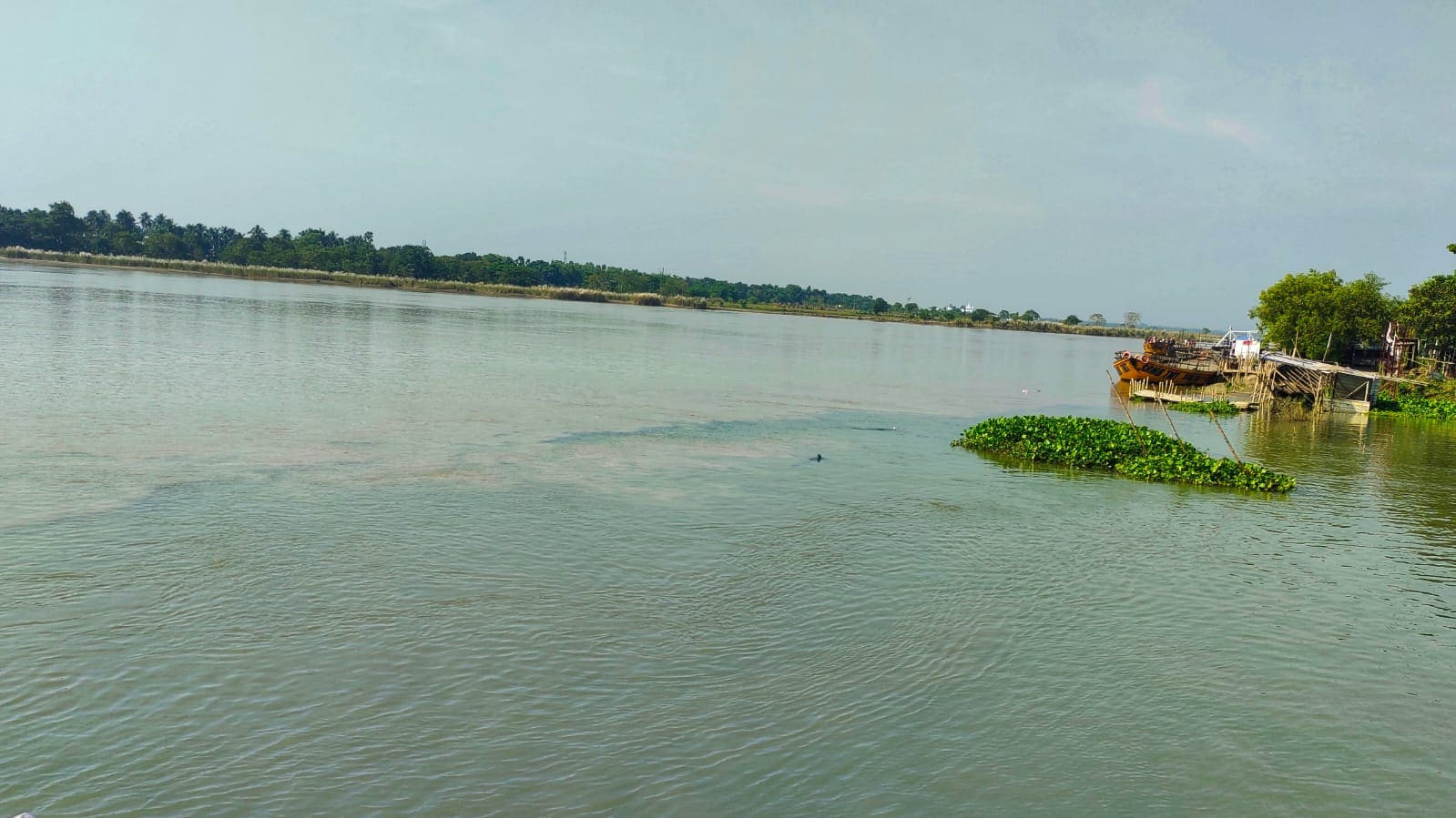 সব্জে রঙের জল জলঙ্গির, গঙ্গার জল ঘোলা রঙের। সব্জে রঙের জল জলঙ্গির, গঙ্গার জল ঘোলা রঙের।