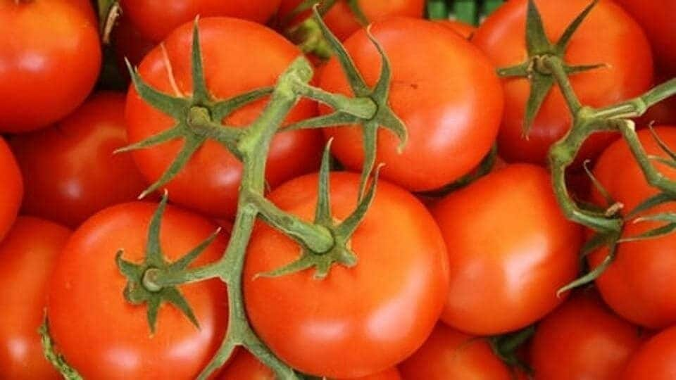 Tomatoes‍‍` Health Benefits: টমেটোর অনেক গুণ, কিন্তু রোজ কতগুলোর বেশি টমেটো  খাওয়া উচিত নয় - How many tomatoes you can eat a day and what are the  health benefits, টুকিটাকি নিউজ