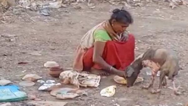 ছবি প্রকাশ্যে আসতেই নড়েচড়ে বসে প্রশাসন ছবি প্রকাশ্যে আসতেই নড়েচড়ে বসে প্রশাসন