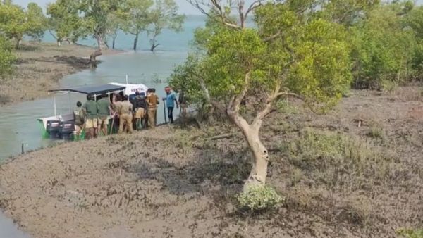 কাঁকড়া ধরতে গিয়ে চোখ খুবলে নিয়েছিল বাঘ, ২৪ ঘণ্টার মধ্যেই মৃত্যু হল মৎস্যজীবী কাঁকড়া ধরতে গিয়ে চোখ খুবলে নিয়েছিল বাঘ, ২৪ ঘণ্টার মধ্যেই মৃত্যু হল মৎস্যজীবী