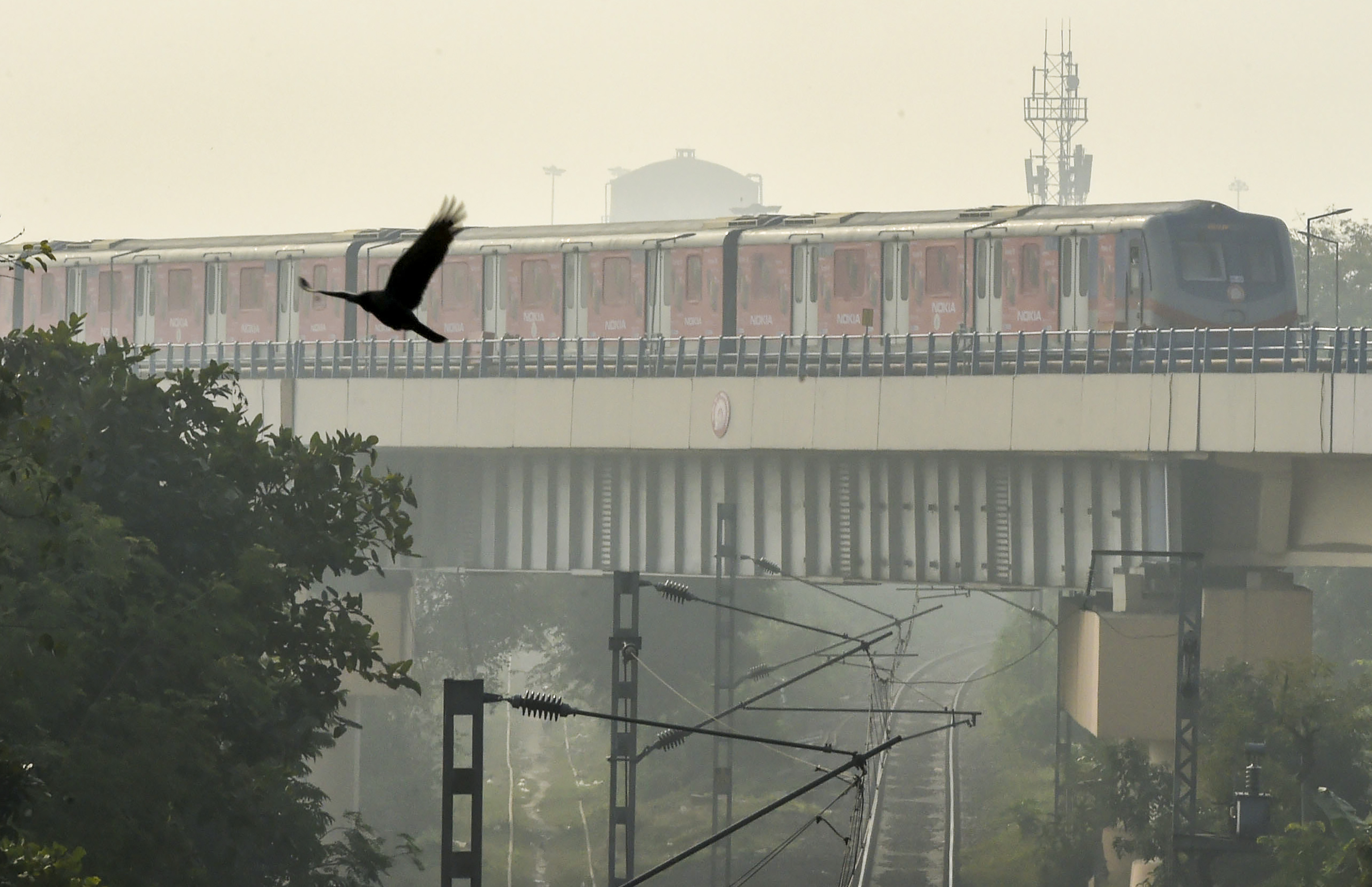 বুধবার কলকাতার সর্বনিম্ন তাপমাত্রা ঠেকেছে ১২.৬ ডিগ্রি সেলসিয়াসে। যা স্বাভাবিকের থেকে এক ডিগ্রি কম। (ছবিটি প্রতীকী, সৌজন্যে পিটিআই)