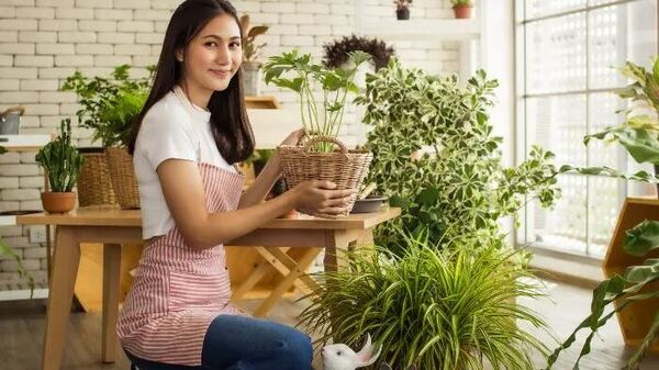 Gardening