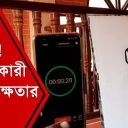 মুখে-মাথায় তুলি রেখে নিখুঁত আঁকা! 'রেকর্ড' সৃষ্টিকারী সমরেশের দক্ষতার ঝলক মিস করবেন না..