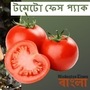 টমেটোতেই মুশকিল আসান! ছবি : হিন্দুস্তান টাইমস বাংলা (HT Bangla)