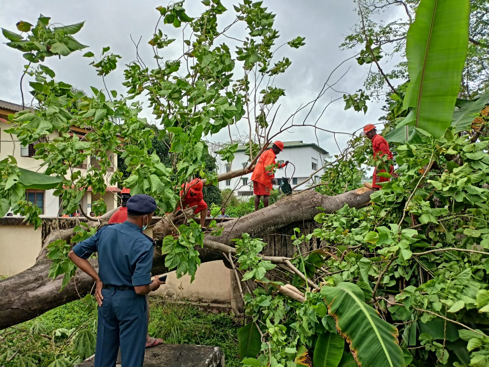 ইতিমধ্যে আন্দামান ও দ্বীপপুঞ্জে জাতীয় বিপর্যয় মোকাবিলা বাহিনী (এনডিআরএফ) মোতায়েন করা হয়েছে। সমুদ্রে নজরদারি চালাচ্ছে ভারতীয় উপকূলরক্ষী বাহিনী। ভারতীয় সেনা, নৌসেনা এবং বায়ুসেনাকে তৈরি রাখা হয়েছে। (ছবি সৌজন্যে, টুইটার @04NDRF)