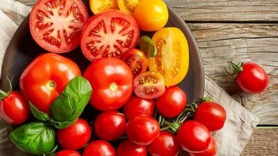 Tomatoes Health Benefits: রোজ টমেটো খেলে কী হয়? খাওয়ার আগে ভালো করে জেনে নিন - What happens when you eat tomatoes everyday, health benefits of tomatoes , Bangla News Lifestyle News, Lifestyle News In Bengali, lifestyle news articles