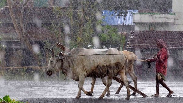 এদিকে ১০ তারিখে অসম, মেঘালয়ে বিচ্ছিন্ন ভারী বর্ষণের সম্ভাবনা রয়েছে; ১৩ এবং ১৪ তারিখের মধ্যে অরুণাচলপ্রদেশে এবং ১০ থেকে ১৪ মে-এর মধ্যে নাগাল্যান্ড, মণিপুর, মিজোরাম এবং ত্রিপুরাতেও বৃষ্টির পূর্বাভাস রয়েছে। (PTI)