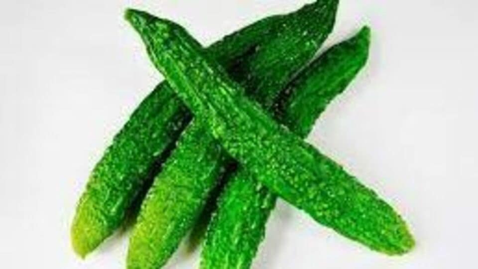 Bitter Gourd उन्हाळ्यात कारलं खाणं कितपत योग्य? वाचा काय आहेत फायदे!benefits and harm of