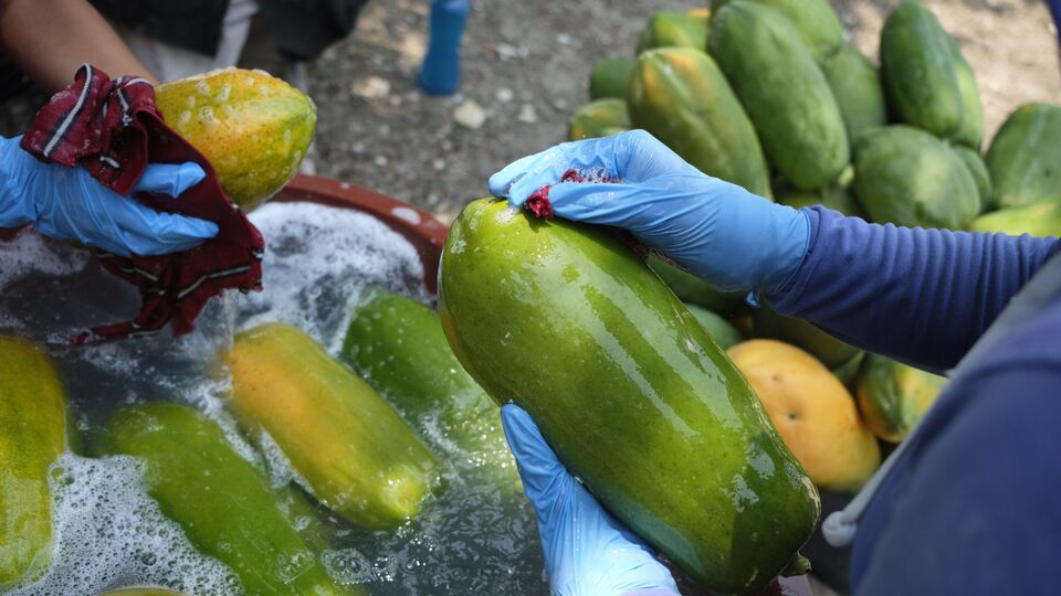 Periods Delay Reason पिरियड्समध्ये पपई खाल्ल्यानं आरोग्यावर काय होतात