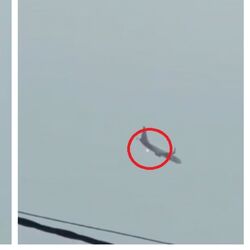 ওড়ার পরেই মাঝ আকাশে বিমানে আগুনের ঝলক, ধরা পড়ল ক্যামেরায়। (ছবি সৌজন্যে ভিডিয়ো) ওড়ার পরেই মাঝ আকাশে বিমানে আগুনের ঝলক, ধরা পড়ল ক্যামেরায়। (ছবি সৌজন্যে ভিডিয়ো)