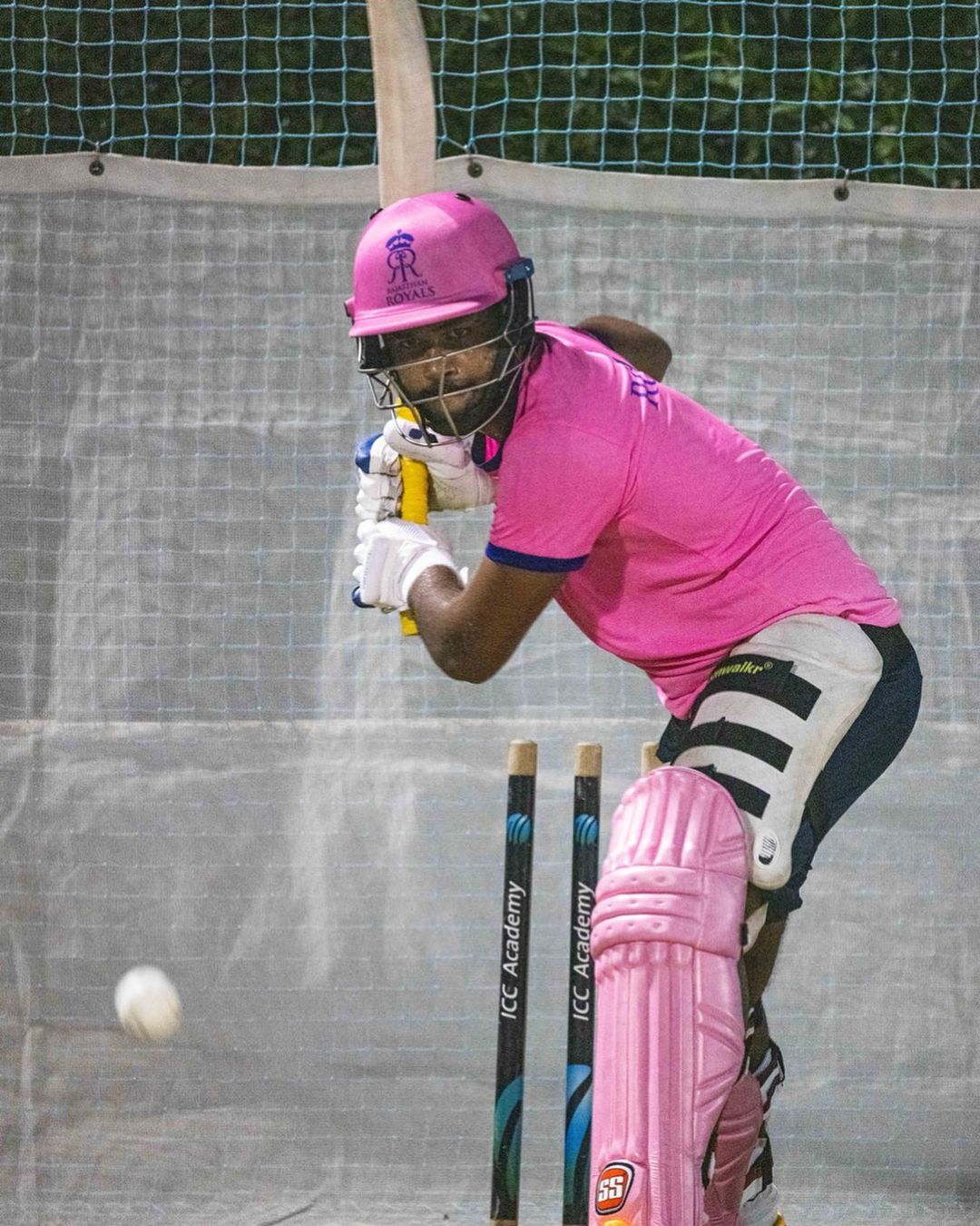 संजूच्या कारकिर्दीबद्दल बोलायचे झाले तर तो प्रथम श्रेणी क्रिकेटमध्ये केरळकडून खेळतो. तर टीम इंडियासाठी त्याने आतापर्यंत १३ टी-20 सामने खेळले आहेत. यादरम्यान त्याने १७४ धावा केल्या आहेत.