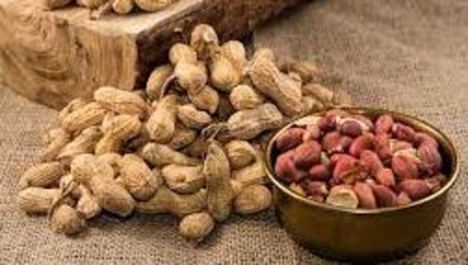 Peanuts Side effects शेंगदाणे खाणं आरोग्यासाठी ठरतंय घातक; होतायंत हे