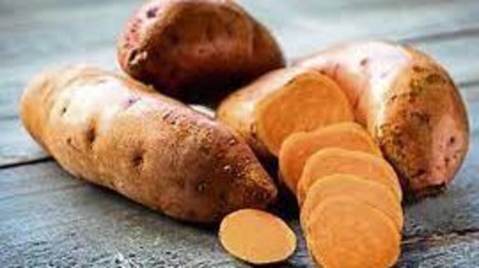 Health मधुमेहावर मात करण्यासाठी रताळ्याचं सेवन करणं गुणकारी; वाचा