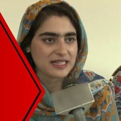 কাশ্মীরের শিল্পকলাকে নয়া নৈপূণ্যে সাজাচ্ছেন ভূস্বর্গের শিল্পী শাফি