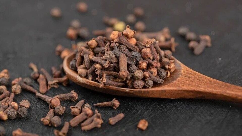 Clove oil केवळ दातदुखीच नाही, त्वचेशी संबंधित समस्यांवरही लवंग तेल आहे