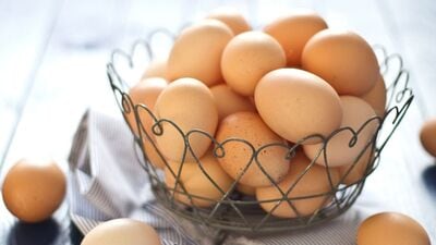 ३. अंडी: शॅम्पूच्या २ तास आधी केसांना अंडी लावा. त्यामुळे केसांमध्ये ओलावा टिकून राहील. अंडी स्काल्पवर लावल्याने केसांना प्रथिने आणि इतर घटकांसह पोषण मिळण्यास मदत होते. परिणामी, केस चमकदार होतात.