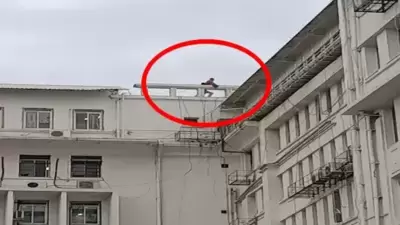 तरुणाचा मंत्रालयाच्या छतावर चढून आत्महत्येचा प्रयत्न
