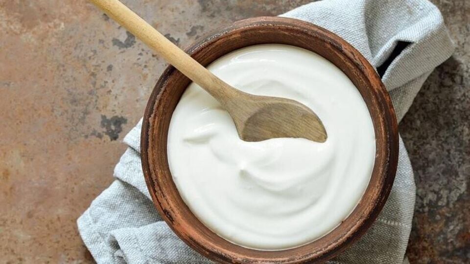 Curd Making at Home घरी घट्ट दही बनत नाही? 'हे' सोपे उपाय करून पाहा