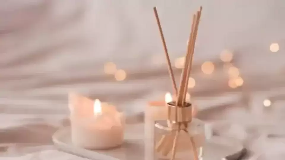 साफसफाई केल्यानंतरही घरातून येतो वास? या नॅचरल गोष्टींच्या मदतीने पसरवा