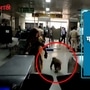 monkey entered in delhi metro station 