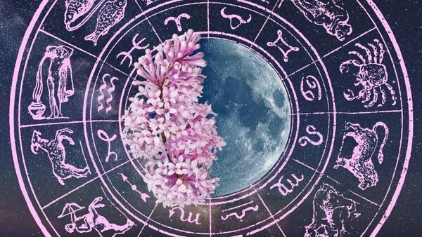 november 5 2022 astrology