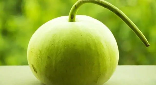   కాశీఫలం/పొట్లకాయ రసంలో కాల్షియం, జింక్, ఫాస్పరస్, థయామిన్, రైబోఫ్లేవిన్ వంటి విటమిన్లు పుష్కలంగా ఉంటాయి. ఇది అలసట నుండి ఉపశమనం కలిగించి మిమ్మల్ని శక్తివంతం చేస్తుంది.
