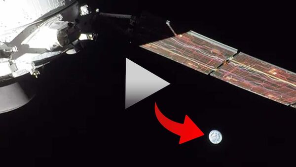 NASA Orion Video: চাঁদের থেকে ‘পৃথিবীর উদয়’ দেখতে কেমন লাগে? আজকের সেরা ভিডিয়ো