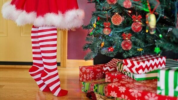 Christmas 2022: বড়দিনের উৎসবে মাতোয়ারা শহর! ঝটপট বাড়িতে এই উপায়ে সাজিয়ে নিন ক্রিসমাস ট্রি
