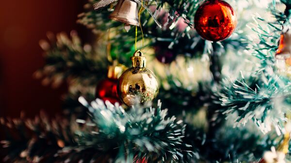 Christmas tradition in Europe: বড়দিন পালনের জন্য ইউরোপে হয় মজার মজার কাজ! এক ঝলকে দেখে নিন রীতি