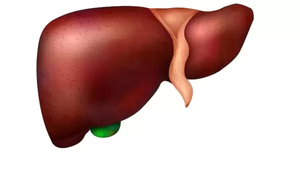 Liver cancer how and why: দিনদিন মারাত্মক হয়ে উঠছে লিভার ক‌্যানসার, এর কারণগুলি লুকিয়ে রোজকার জীবনেই