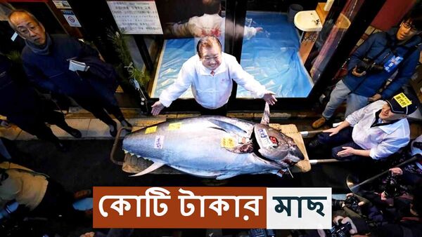 Japanese Tuna sold for  ₹2 crore: নিলামে ২ কোটি টাকারও বেশি দাম উঠল অতি পরিচিত মাছের! একেবারে চমকে যাবেন নাম শুনে