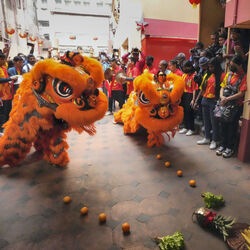 Kolkata: Chinese artists perform dragon dance to celebrate Chinese New Year, in Kolkata, Sunday, Jan. 22, 2023. (PTI Photo/Swapan Mahapatra)(PTI01_22_2023_000078B) (PTI) Kolkata: Chinese artists perform dragon dance to celebrate Chinese New Year, in Kolkata, Sunday, Jan. 22, 2023. (PTI Photo/Swapan Mahapatra)(PTI01_22_2023_000078B) (PTI)