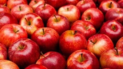 लाल सफरचंदांमध्ये विविध गुण आहेत. ते जाणून घेऊनच निर्णय घ्यावा. तुमच्यासाठी कोणता अधिक उपयुक्त आहे, तुम्ही इथे पाहू शकता.