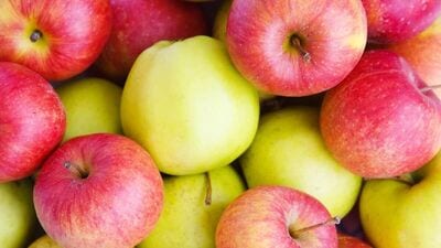 सफरचंद हे अतिशय पौष्टिक फळ आहे. बाजारात दोन रंगाचे सफरचंद मिळतात - लाल आणि हिरवा. दोन सफरचंदांमध्ये केवळ रंगच नाही तर चवही वेगळी असते. आणि दोघांमध्ये गुणवत्तेत फरक आहे.