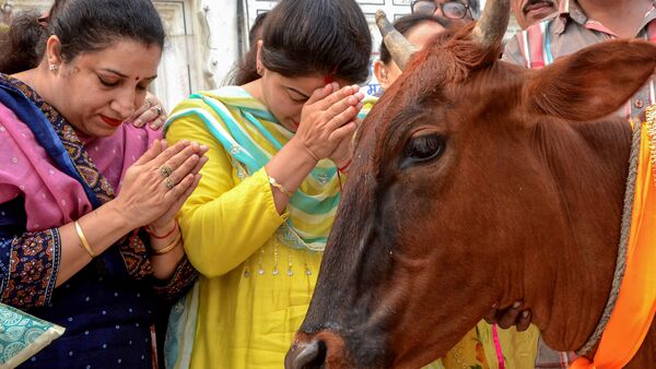 Gujarat Court on Cow Slaughtering: গরুর একফোঁটা রক্ত না ঝরলেই পৃথিবীর সব সমস্যার সমাধান হয়ে যাবে: গুজরাটের আদালত