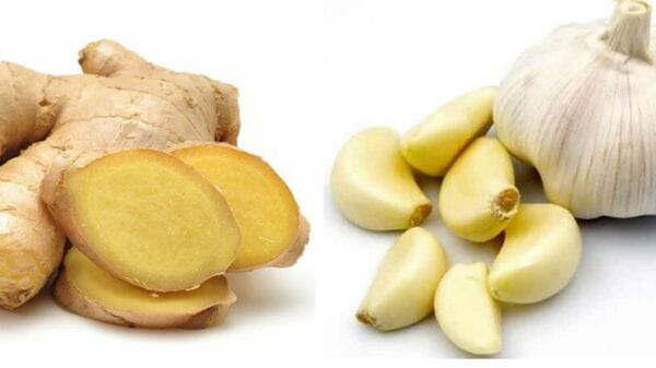 Benefits Of Ginger and Garlic: আদা ও রসুনের দারুণ কম্বো! জানেন এর গুণ?