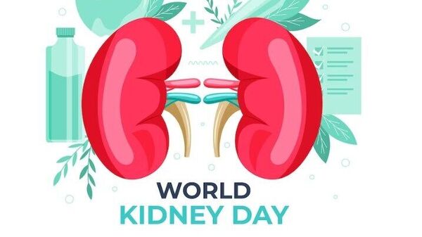 World Kidney day 2023: রোজকার কয়েকটি খাবার ক্ষতি করে কিডনির, ডায়েট থেকে বাদ দিন আজই, জেনে নিন তালিকা