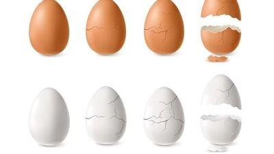 एका लहान अंड्यामध्ये अनेक पोषक घटक असतात. अंड्यामध्ये व्हिटॅमिन ए ते फोलेट, व्हिटॅमिन बी ५, व्हिटॅमिन बी १२, व्हिटॅमिन बी २ असते. याशिवाय फॉस्फरस, कॅल्शियम आणि झिंक देखील अंड्यांमध्ये असतात.