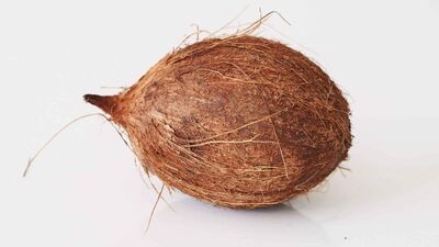 लहान नारळ - एक छोटा नारळ कापडात गुंडाळा आणि गुढी पाडव्याच्या दिवशी तिजोरीत ठेवा. हा उपाय केल्याने तुमच्या घरात ऐश्वर्य आणि समृद्धी येईल.संपूर्ण वर्ष तुम्हाला पैशाची कमतरता राहाणार नाही.