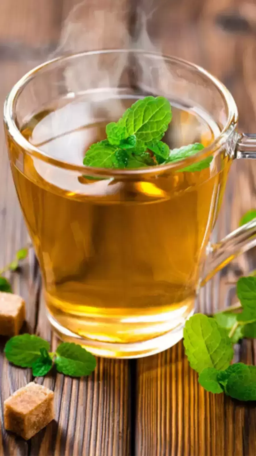 Qattiq jinsiy aloqa onlayn Yigit bir boshashgan Dick sordi