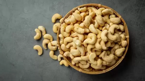 Cashew nuts facts: কাজুবাদাম খেতে ভালোবাসেন? অনেকের মতো কাজু নিয়ে আপনারও এই ভুল ধারণা নেই তো