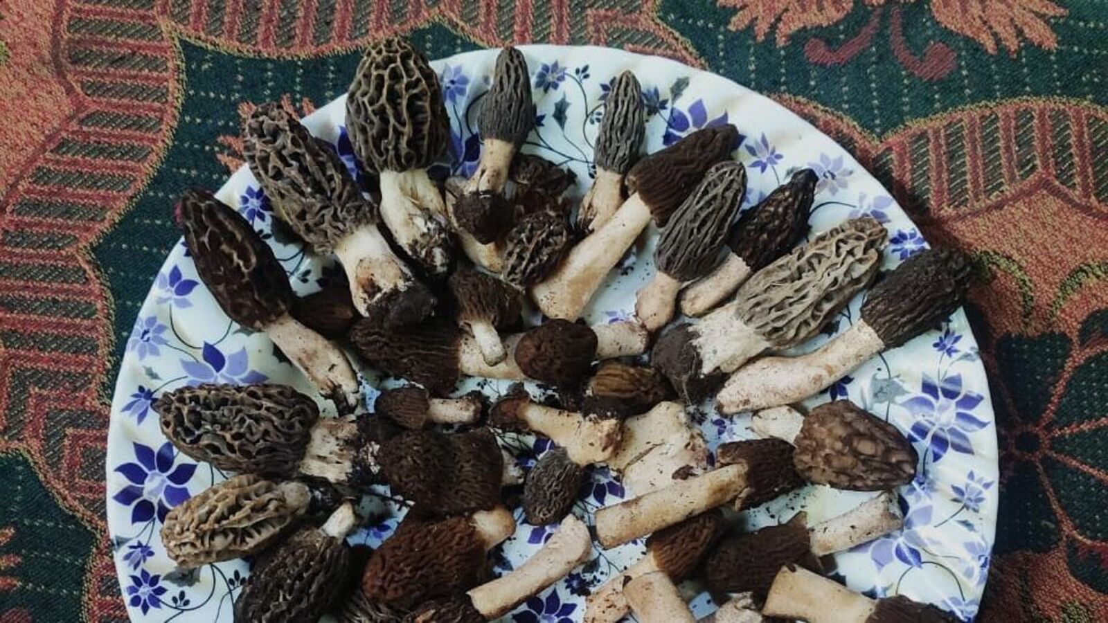 Yetuk ruslarni eshak sikish